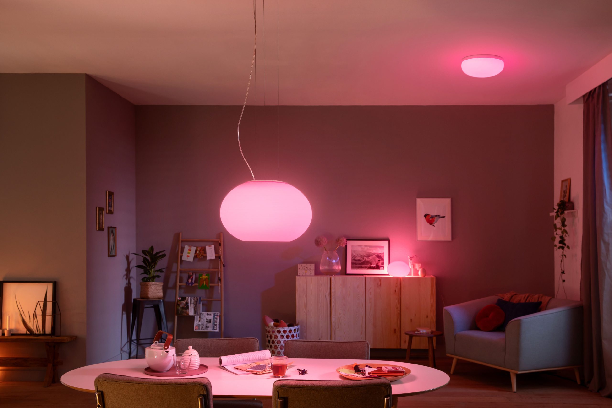 Greatest neat dwelling gadgets for novices in 2023