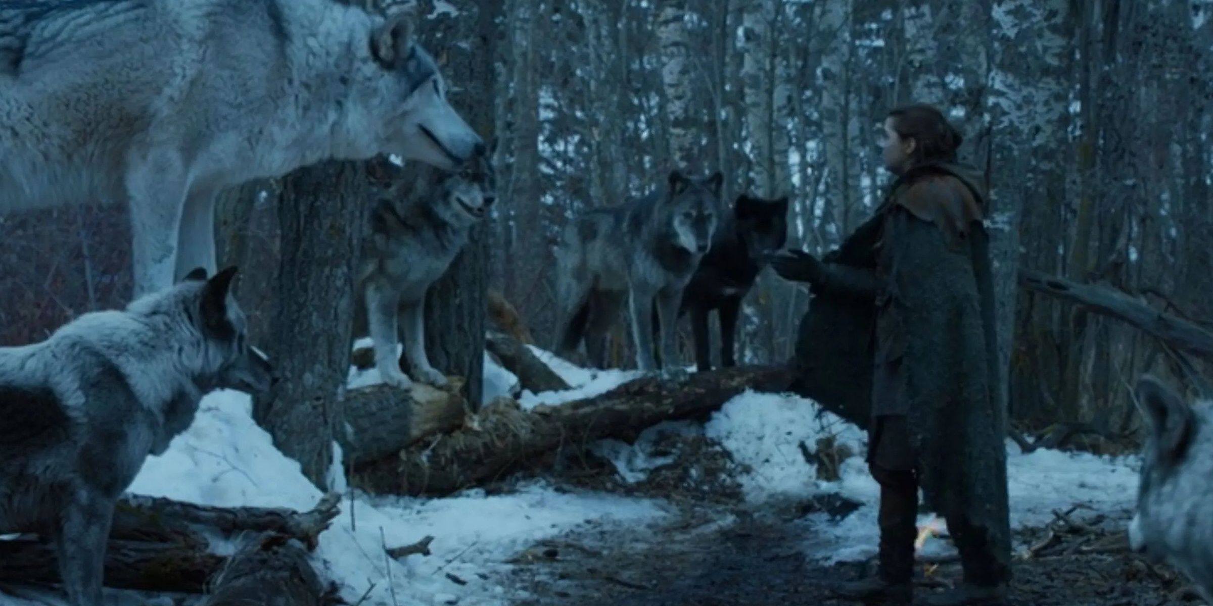 Game of Thrones: Wargs, Explained