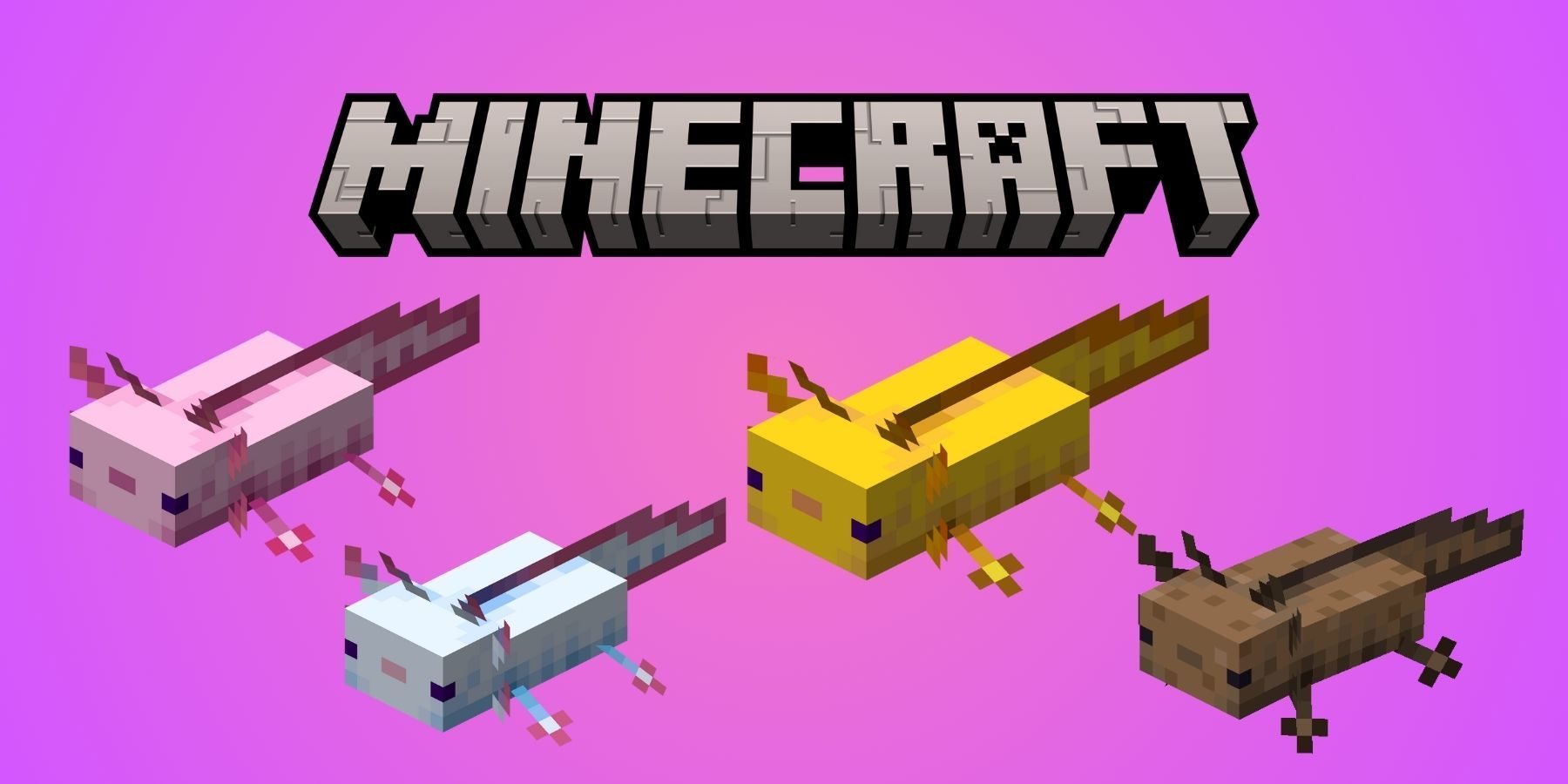 Minecraft: Can You Tame An Axolotl Info
