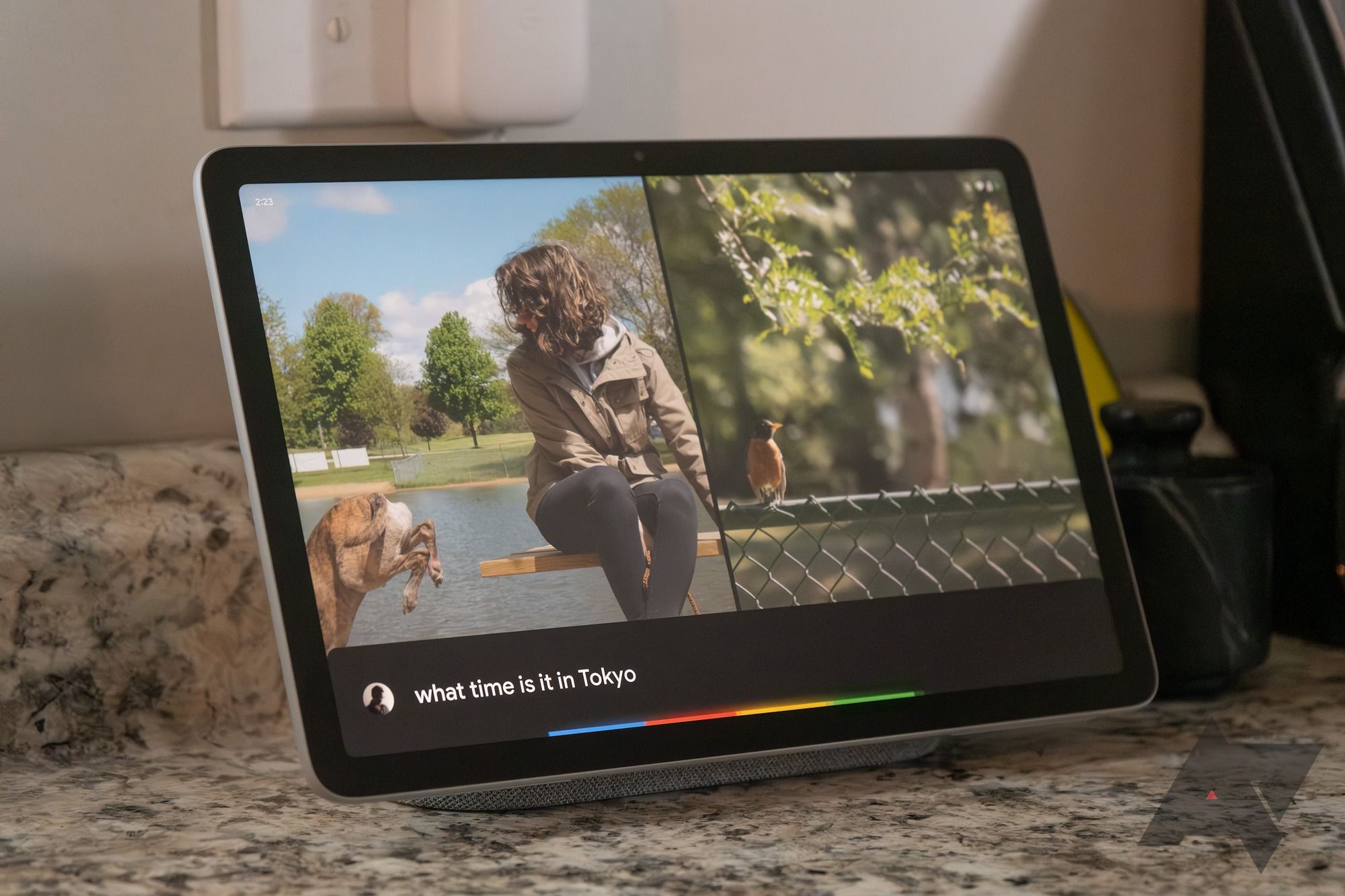 Most attention-grabbing Google Pixel Capsule show veil veil protectors in 2023