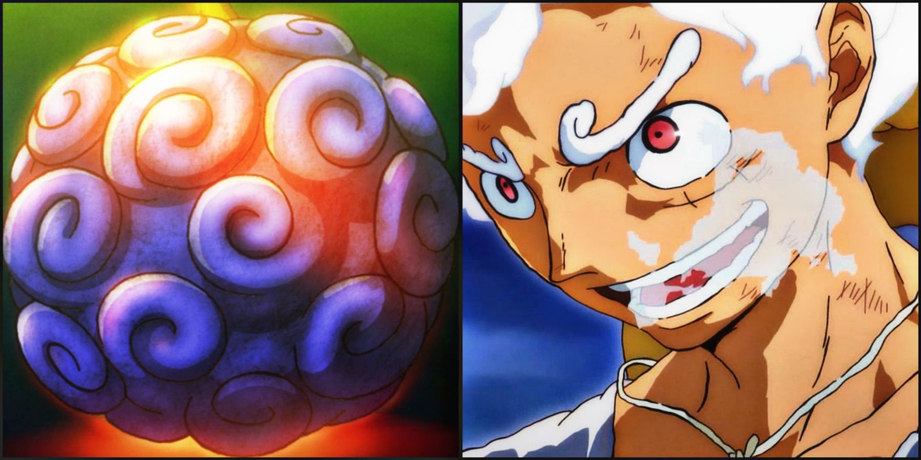 One Portion: Why The Gomu Gomu no Mi Presentations Both Paramecia And Zoan Powers