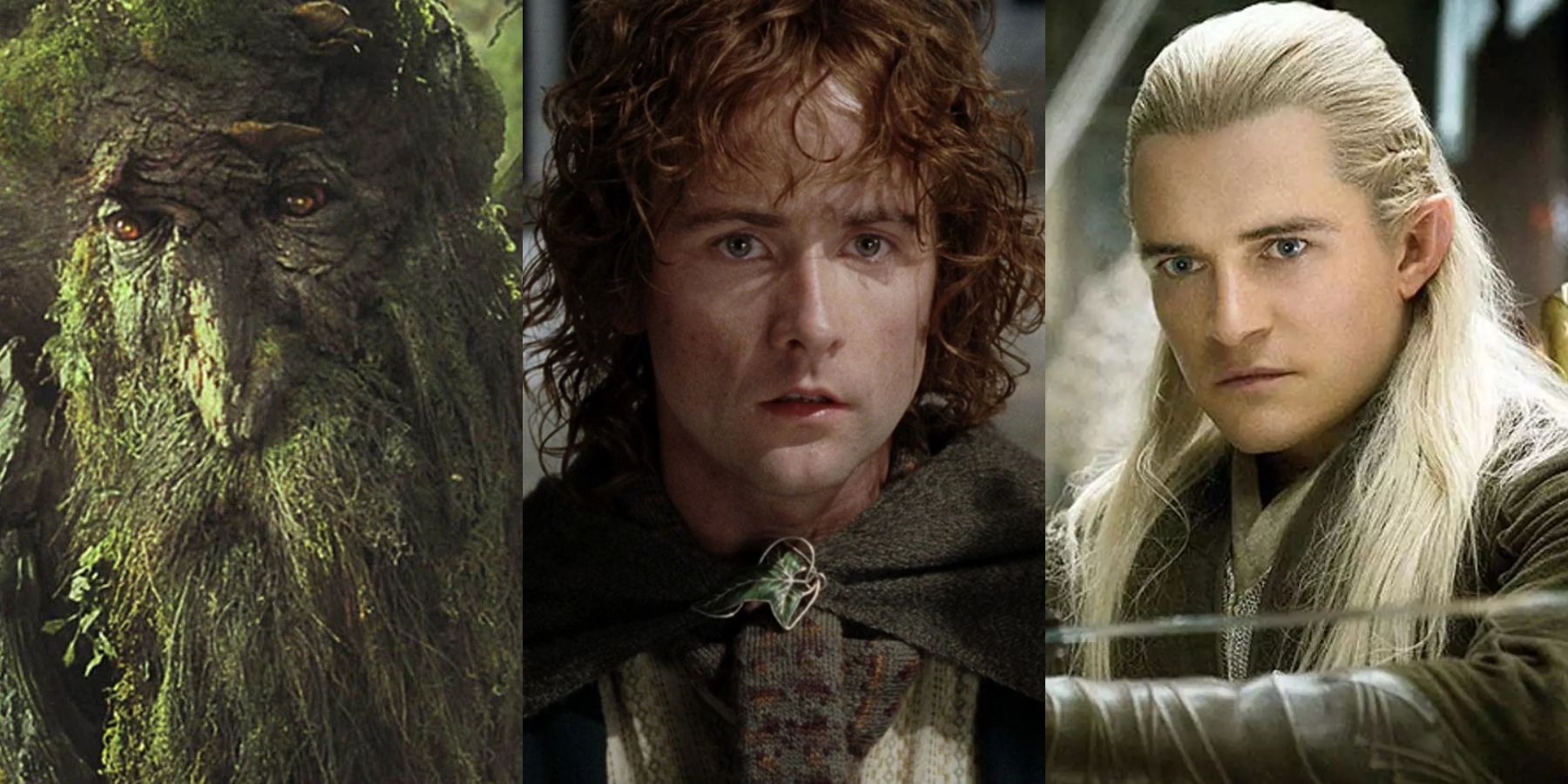 LOTR: The Free Peoples of Center-earth, Explained