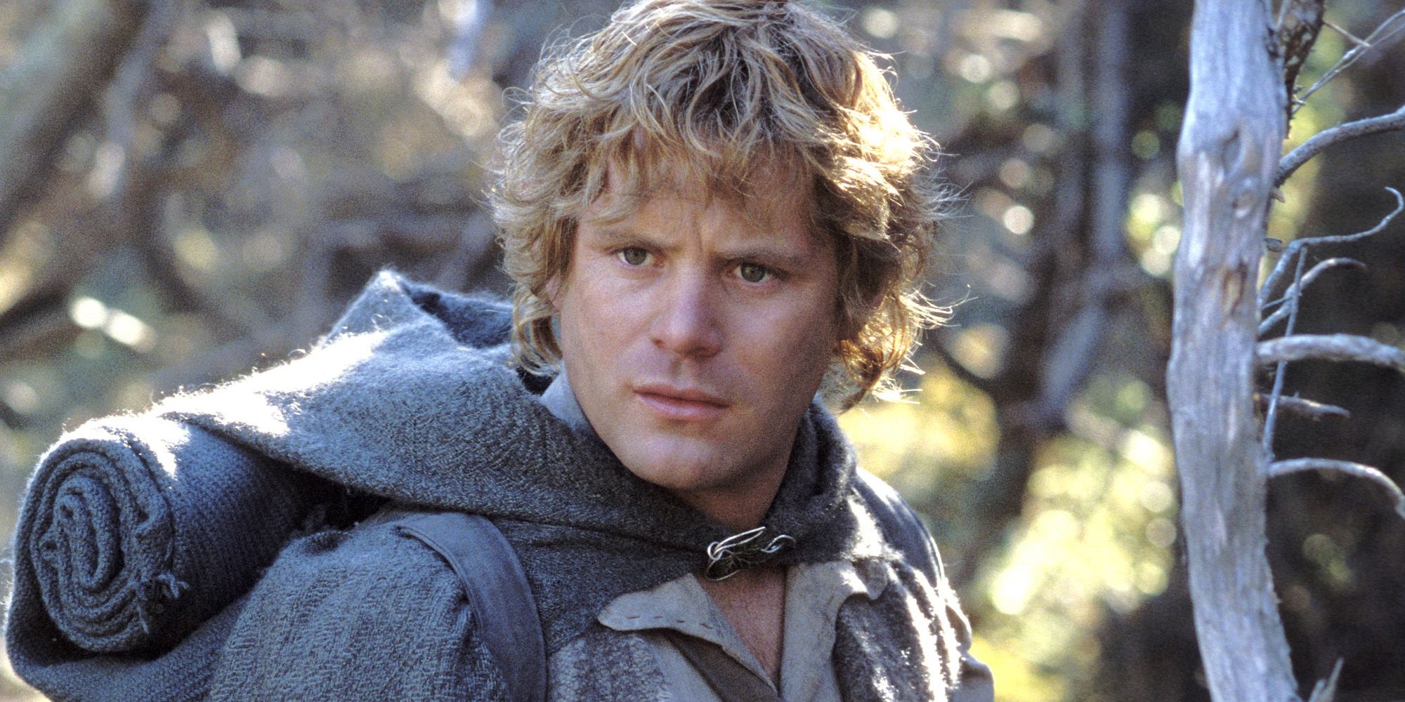 LOTR: What Came about to Sam After the Conflict of the One Ring?