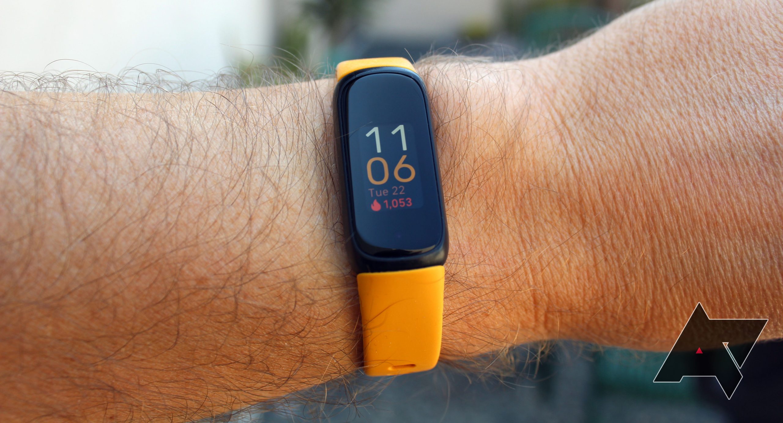Fitbit Encourage 3 review: A steady-weight tracker with impressive battery lifestyles