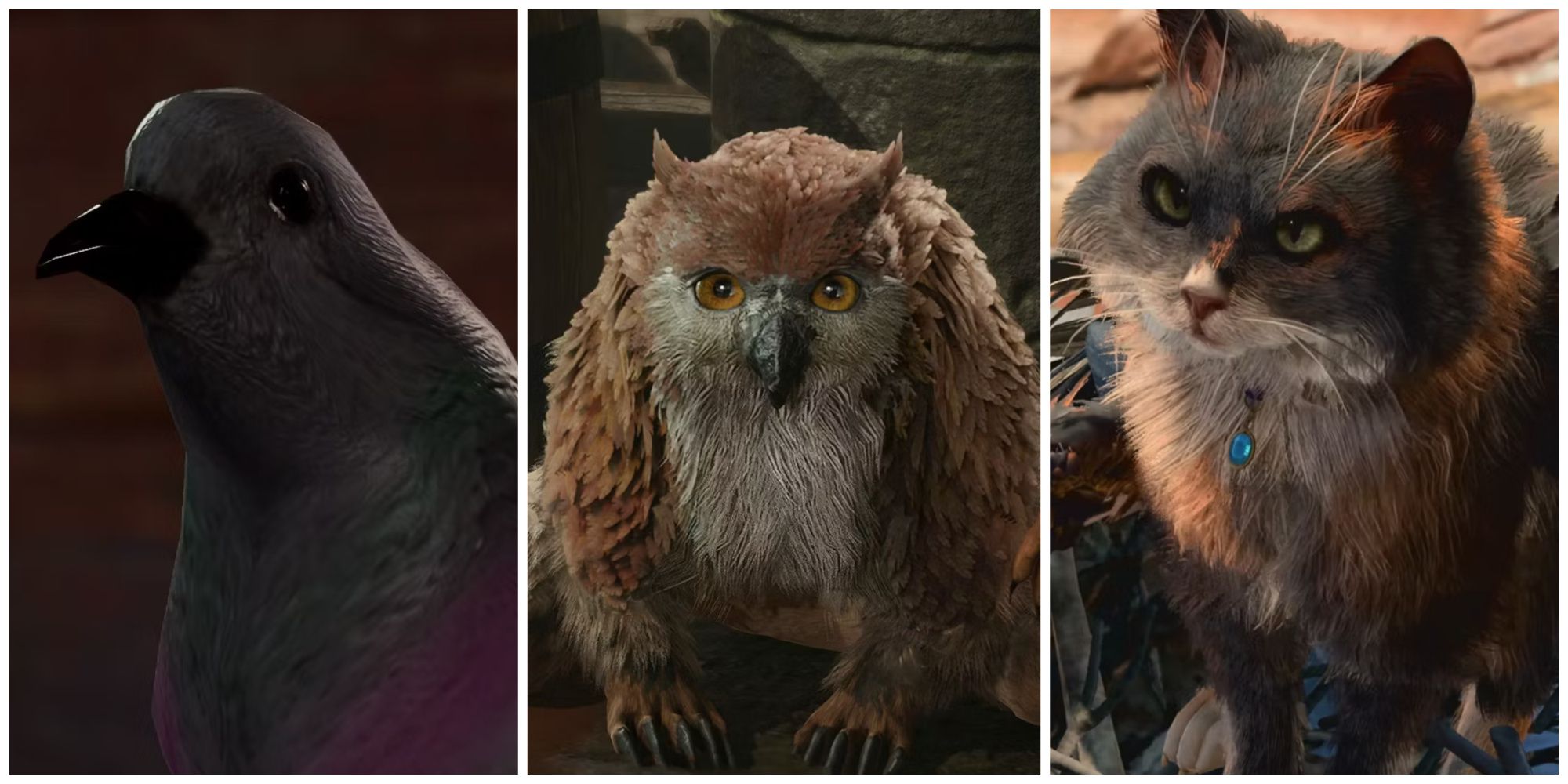 Baldur’s Gate 3: 10 Most effective Animal Characters, Ranked
