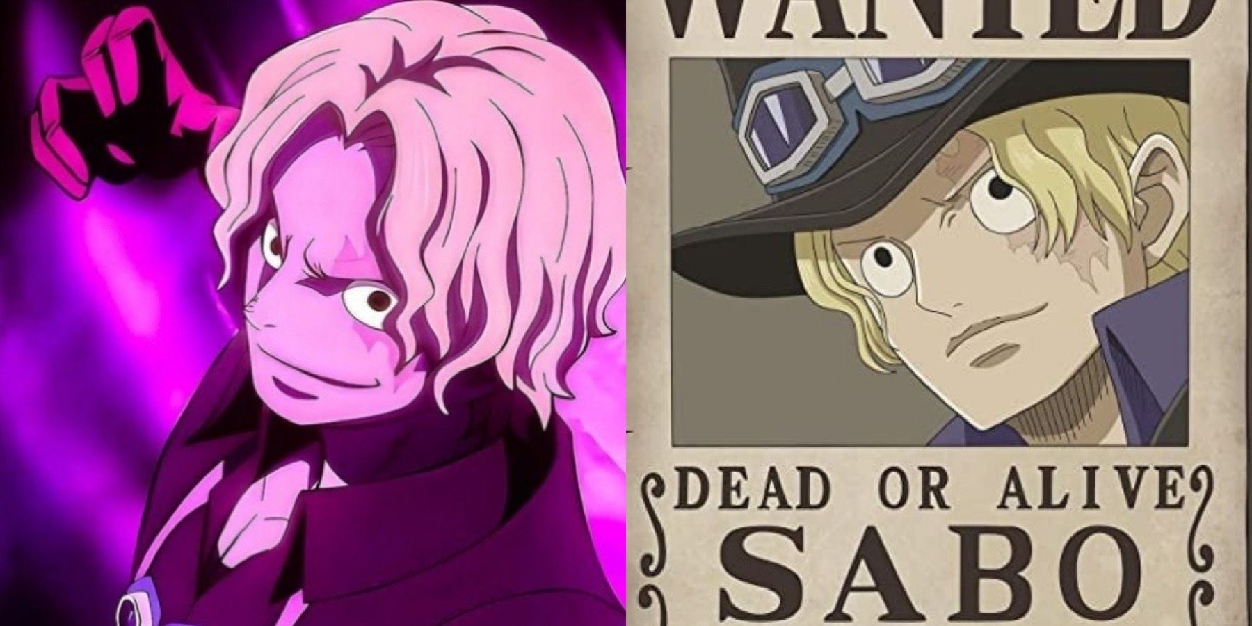 One Allotment: Sabo’s Unique Bounty After Reverie, Defined