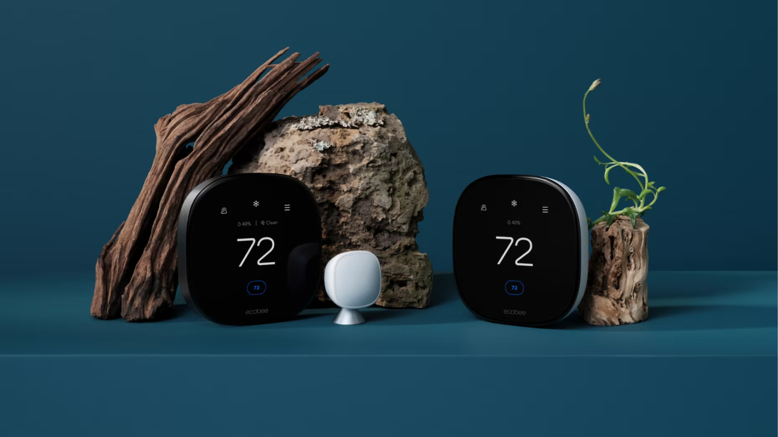 Most productive nicely-organized house sensors in 2023