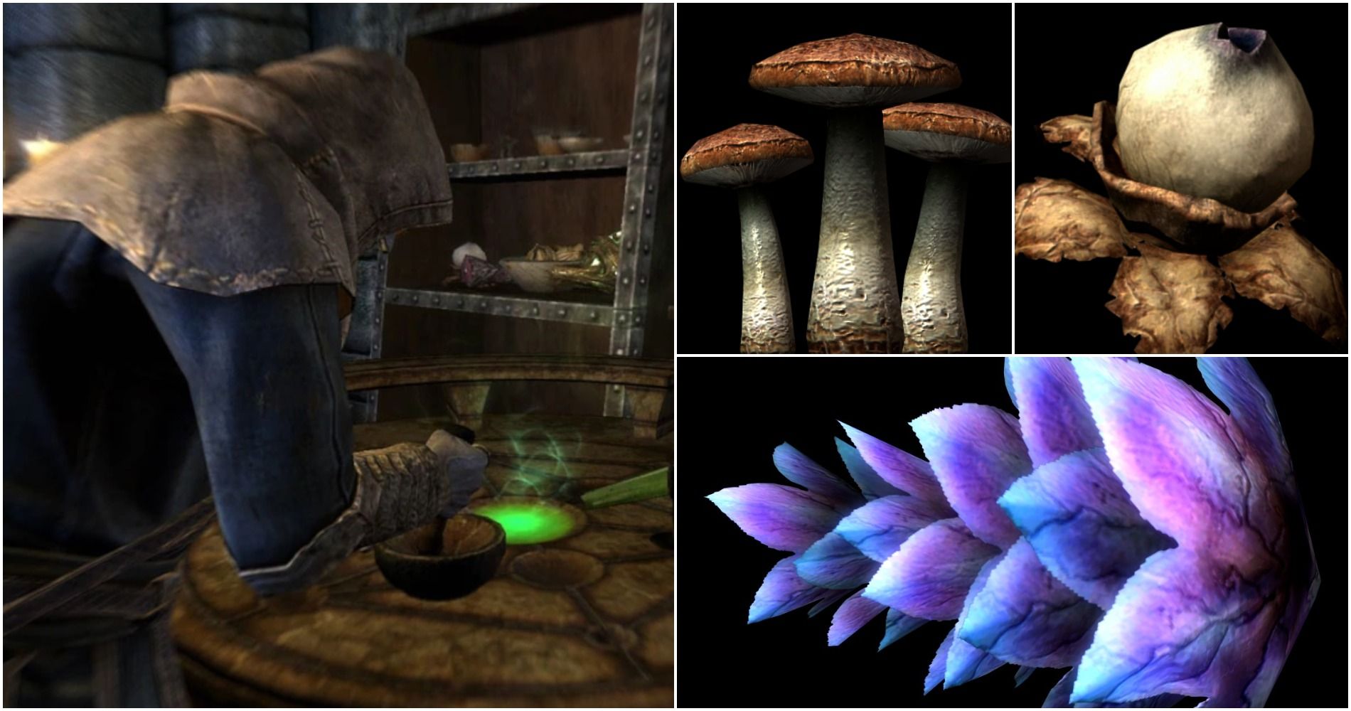 Skyrim: 15 Devastating Poisons & How To Produce Them