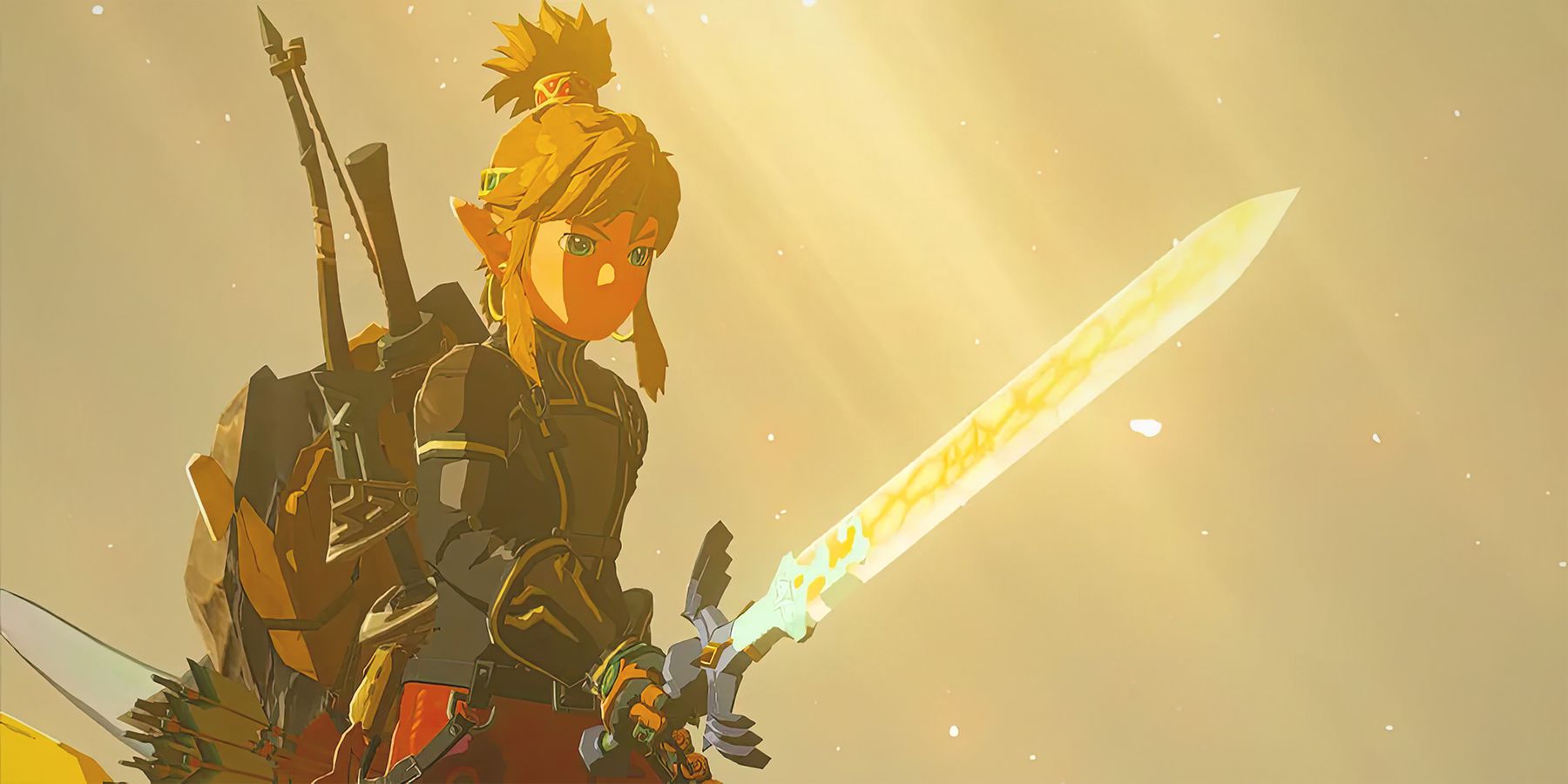 Zelda: Tears of the Kingdom Player Finds the Master Sword Earlier than Paraglider