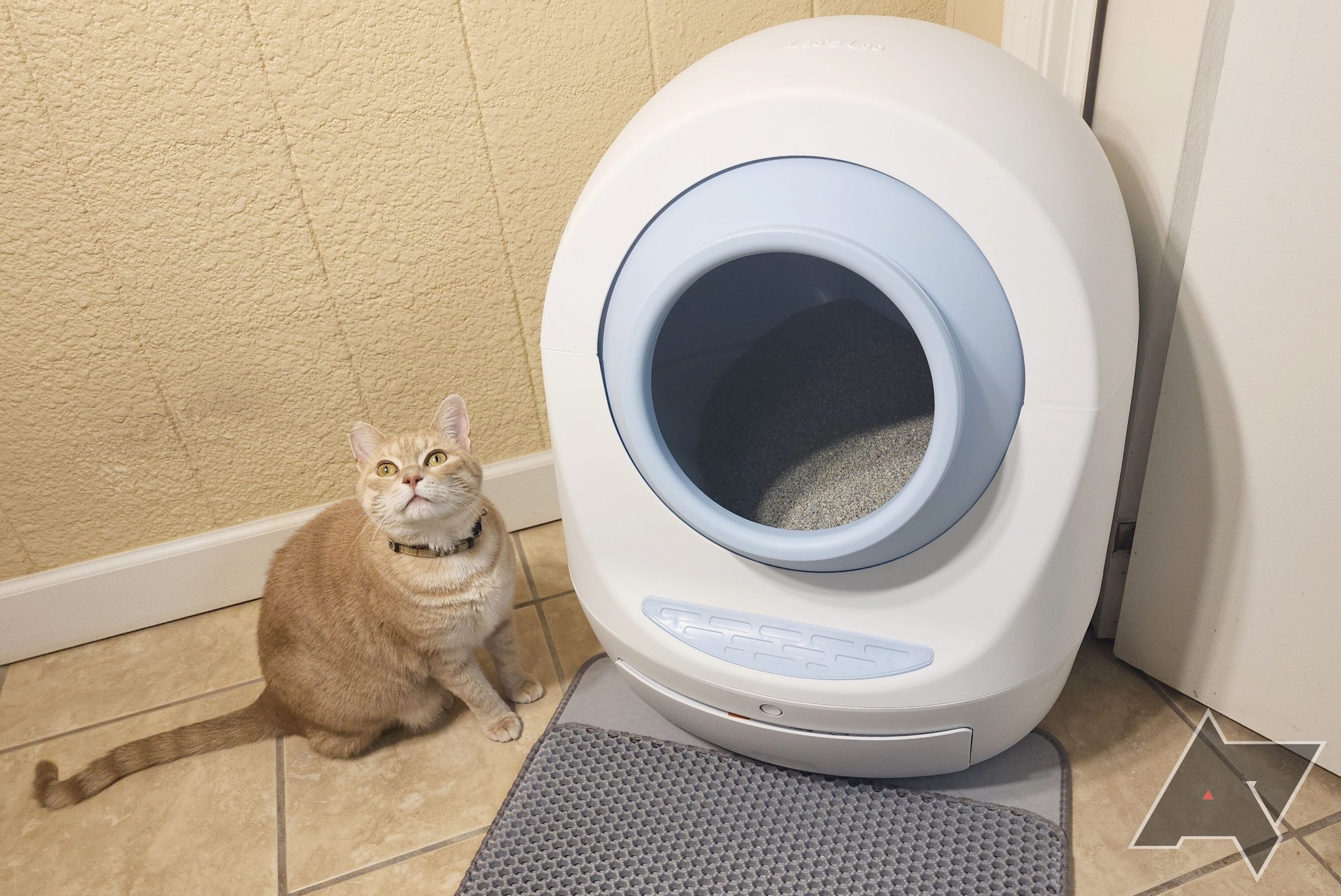 Casa Leo Leo’s Bathroom bathroom Too neat litter field analysis: No extra scooping