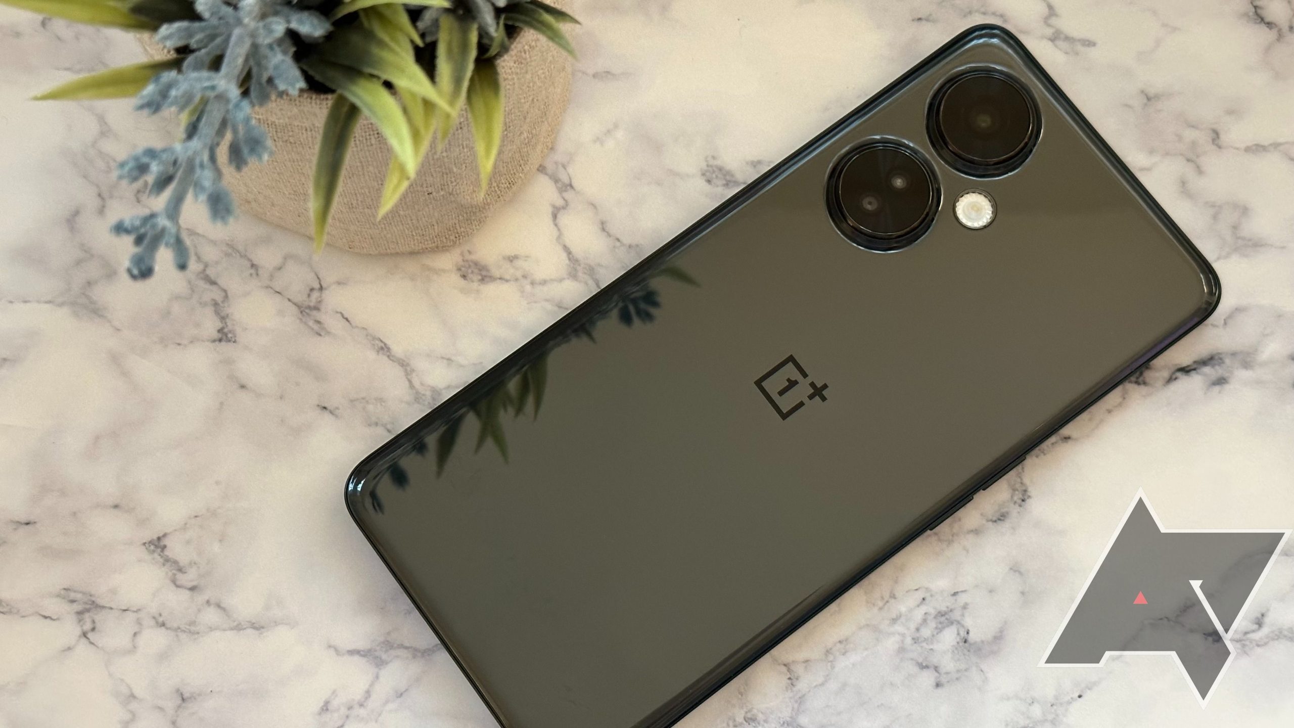 Entirely OnePlus Nord N30 situations in 2023