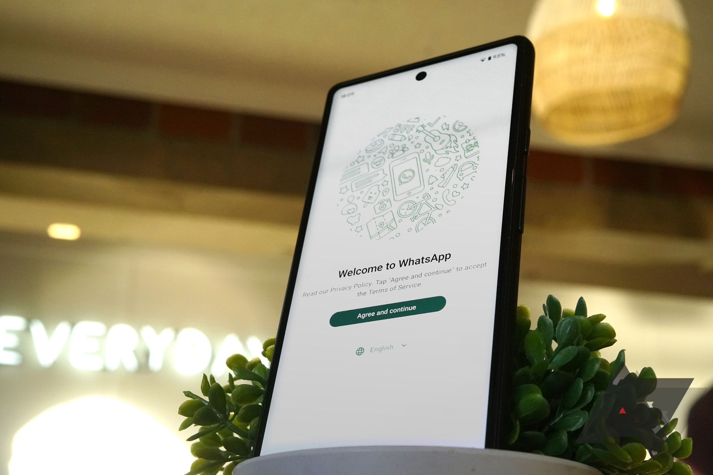 How to procedure your bear WhatsApp avatar