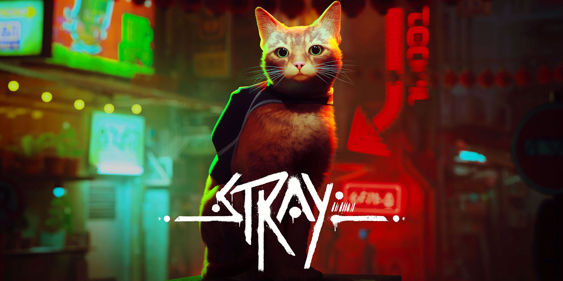 Stray is Getting an Keen Film Adaptation