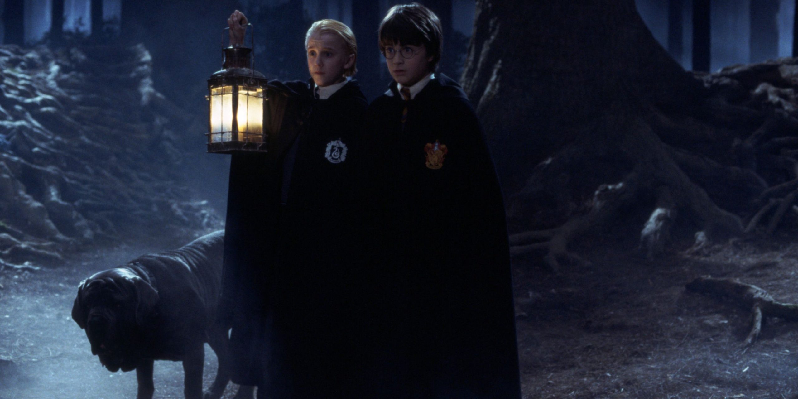 Harry Potter: Why Did Voldemort Drink Unicorn Blood?