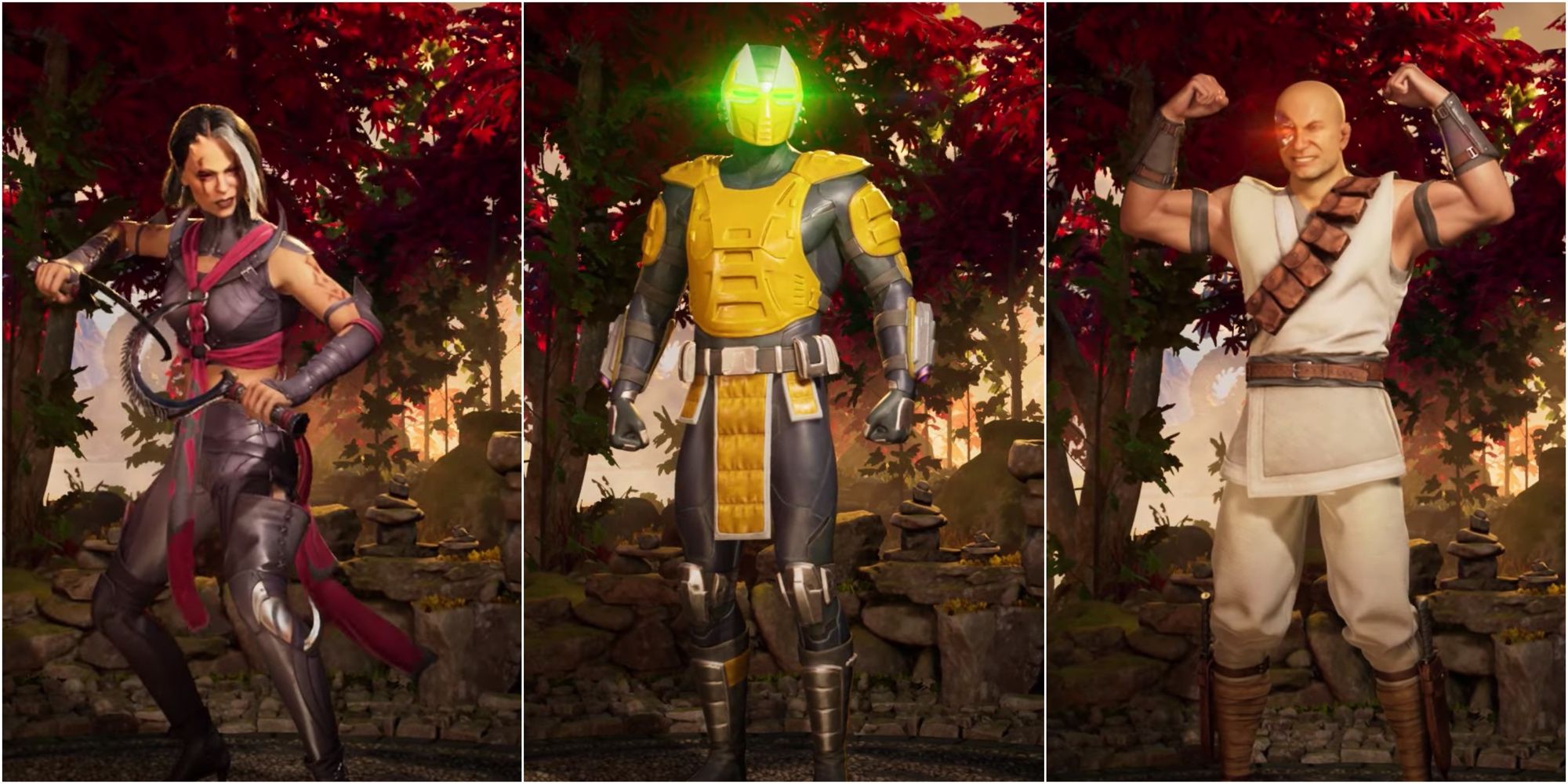 Mortal Kombat 1: 6 Highest Kameo Combatants To Express, Ranked
