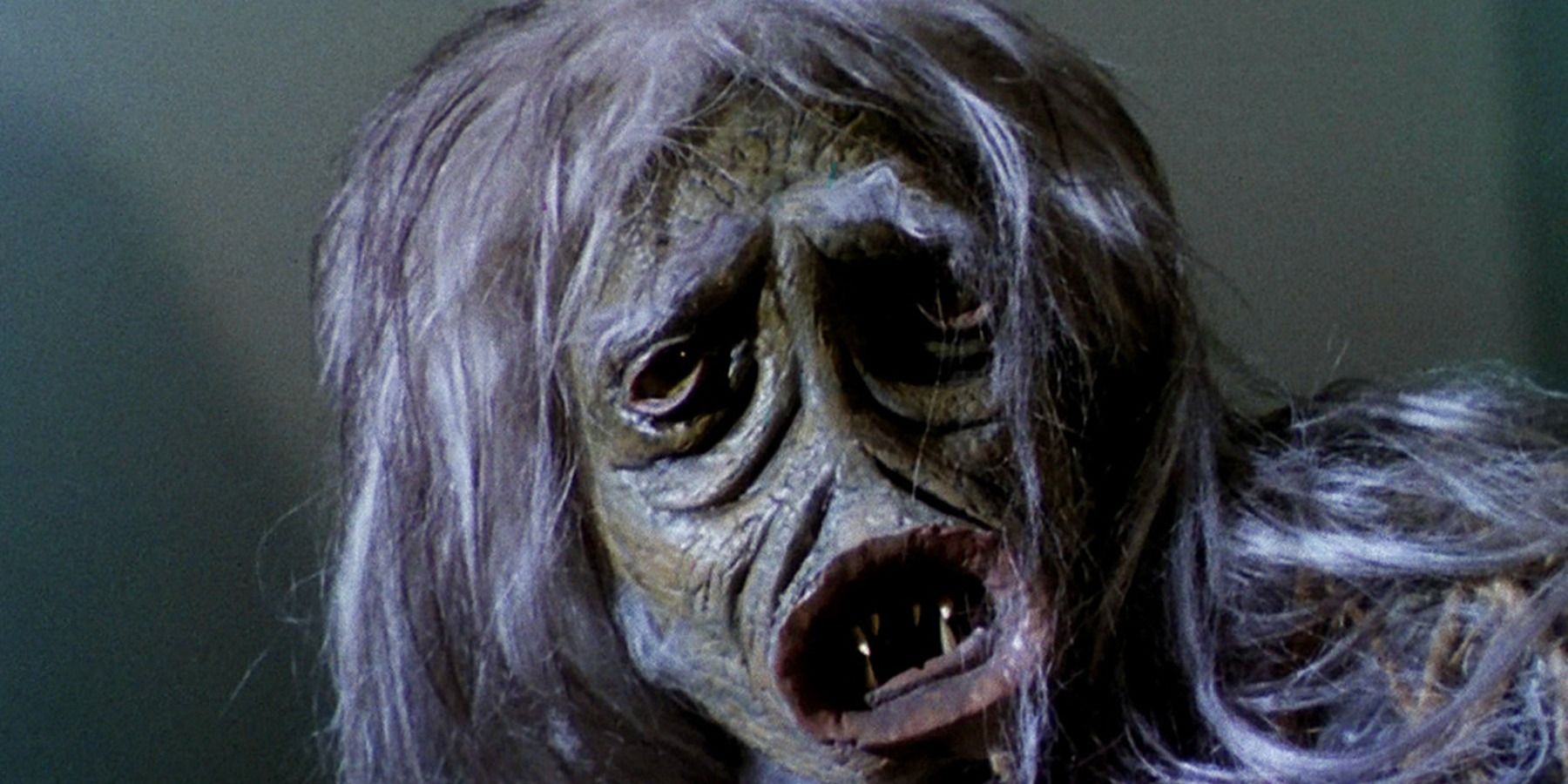 Superstar Scurry: Who Are The Salt Vampires?