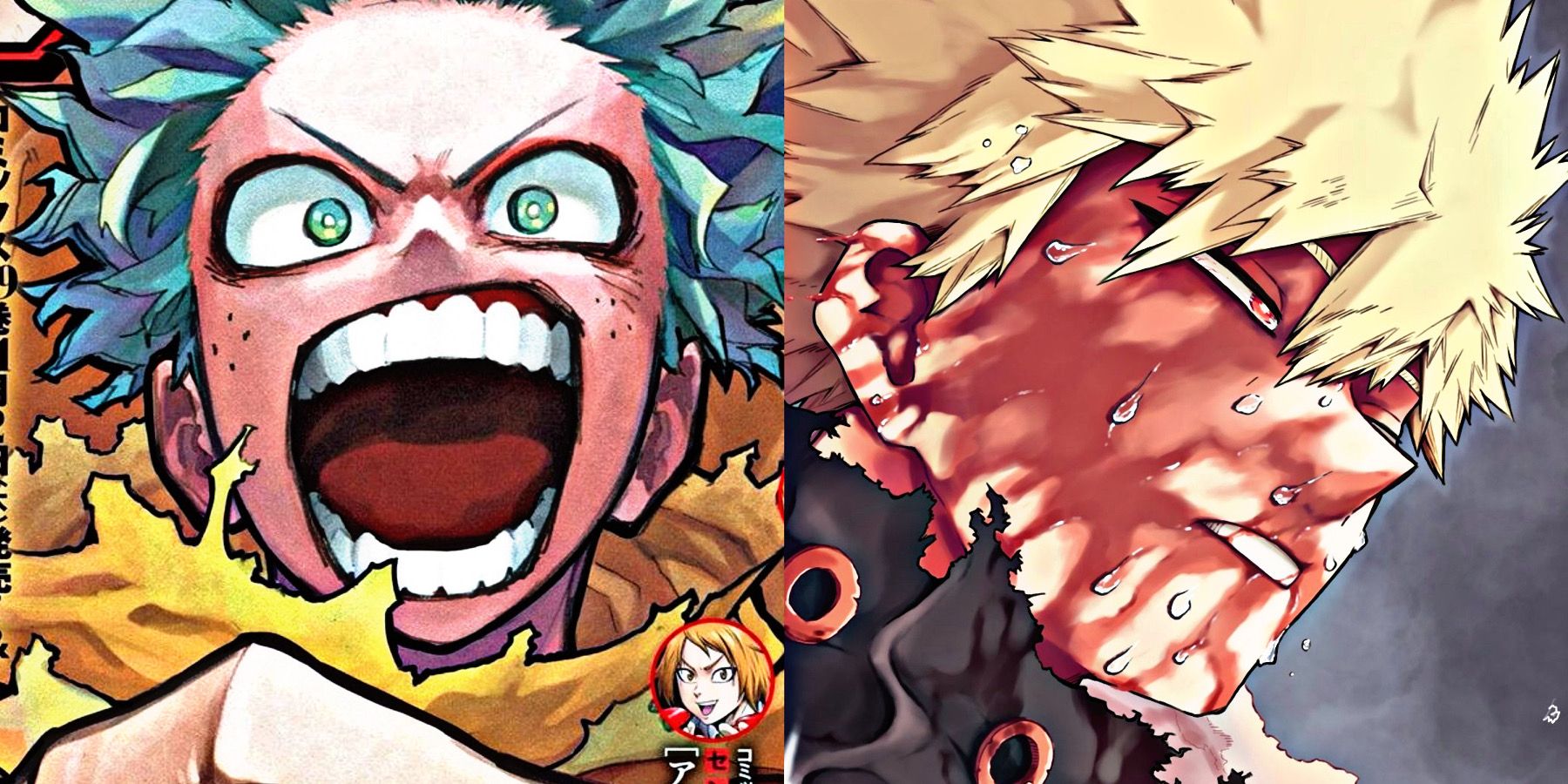 My Hero Academia 404: What To Keep a matter to From The Chapter