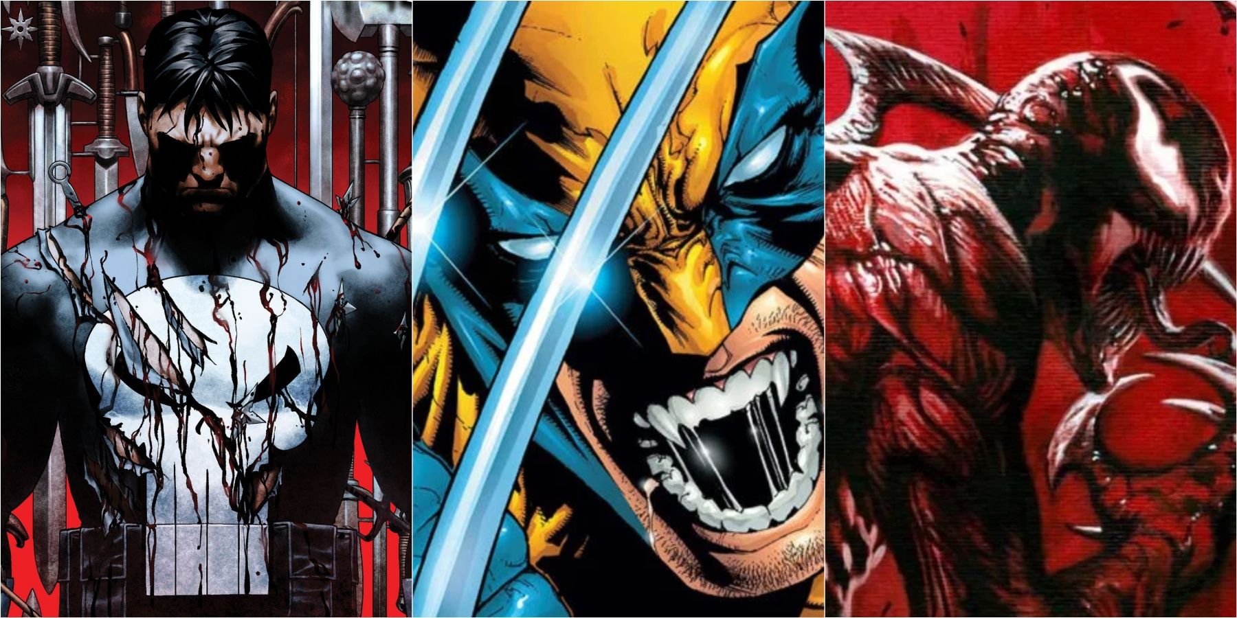5 Characters Who Would Be the Most Brutal in a Wonder NRS Sport
