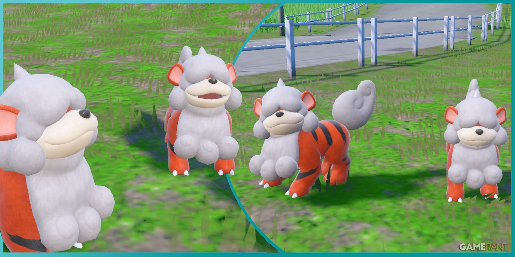 Pokemon Scarlet & Violet: The fashion to Gather Hisuian Growlithe