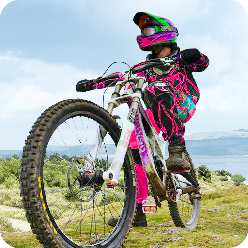 Bmx Boy Bike Stunt Rider Game.png
