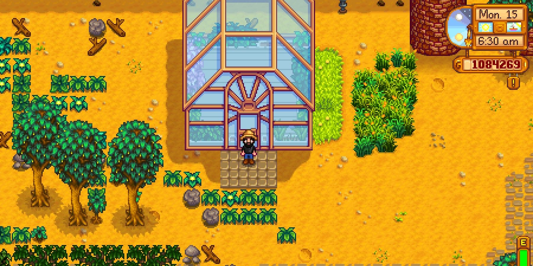 Stardew Valley Participant Reveals Off Excellent Animal-Themed Greenhouse