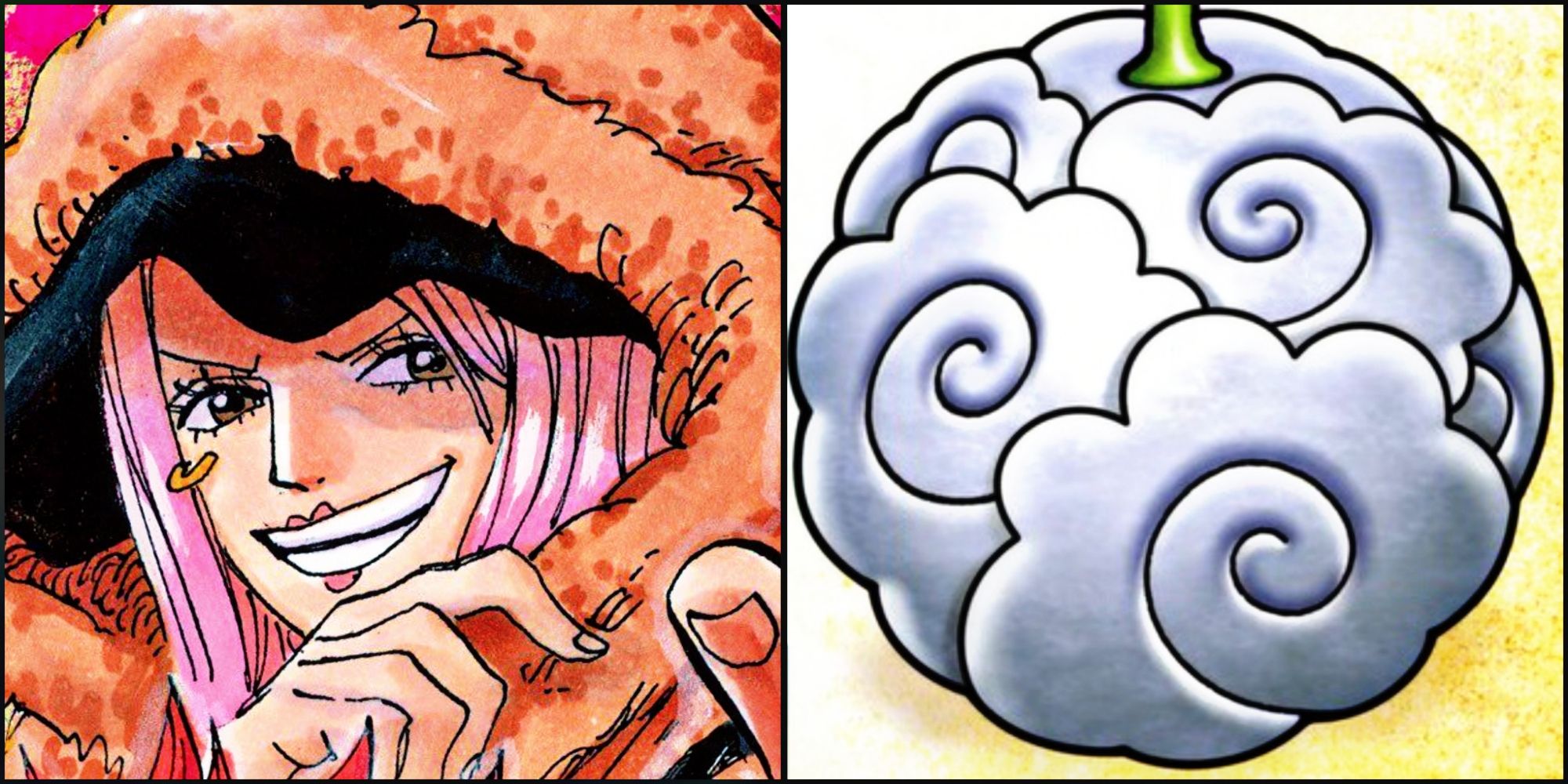 One Share: Oda Finds A Recent Devil Fruit In SBS Quantity 107