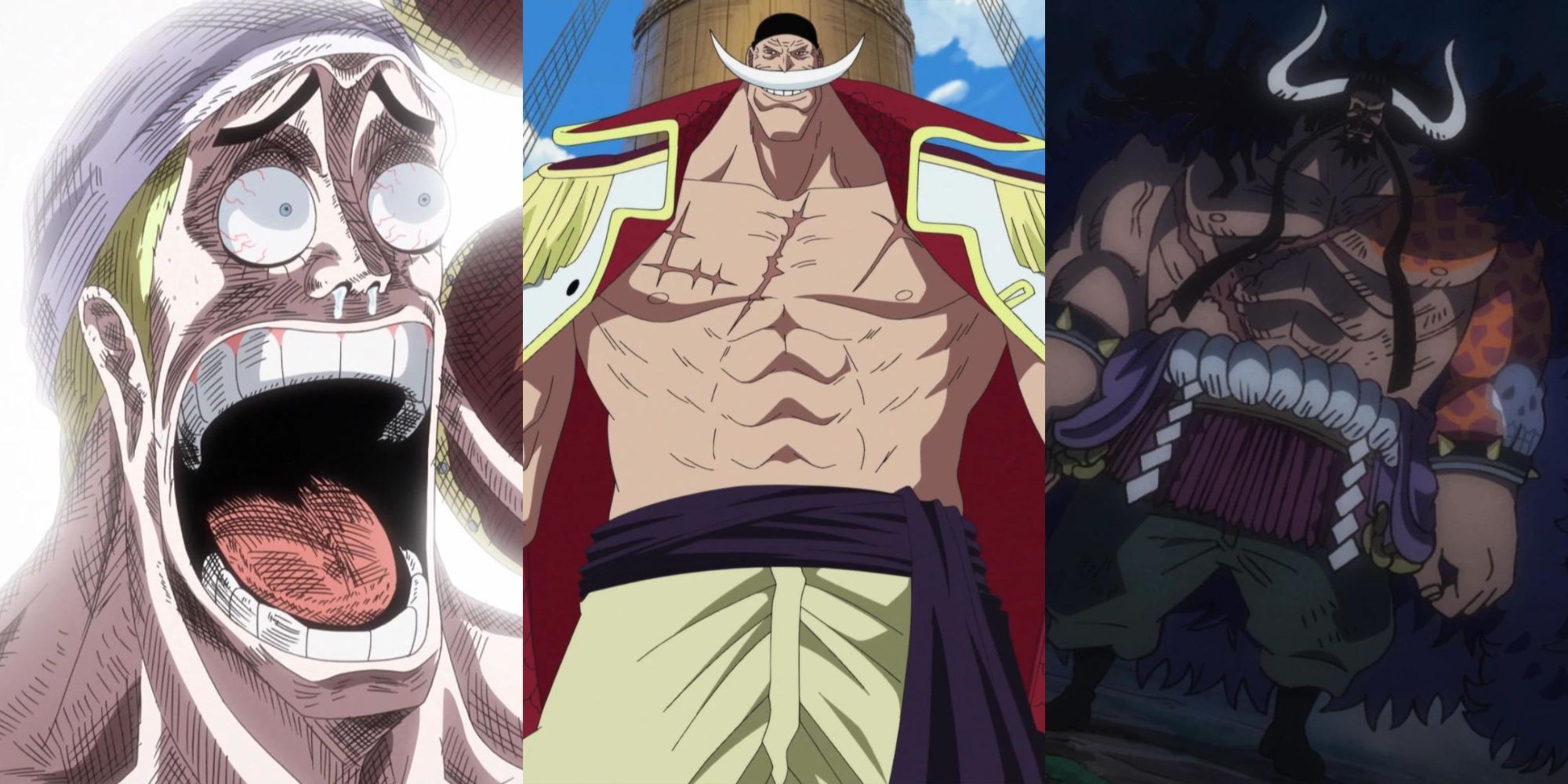 10 One Fragment Characters That Are Higher In The Manga