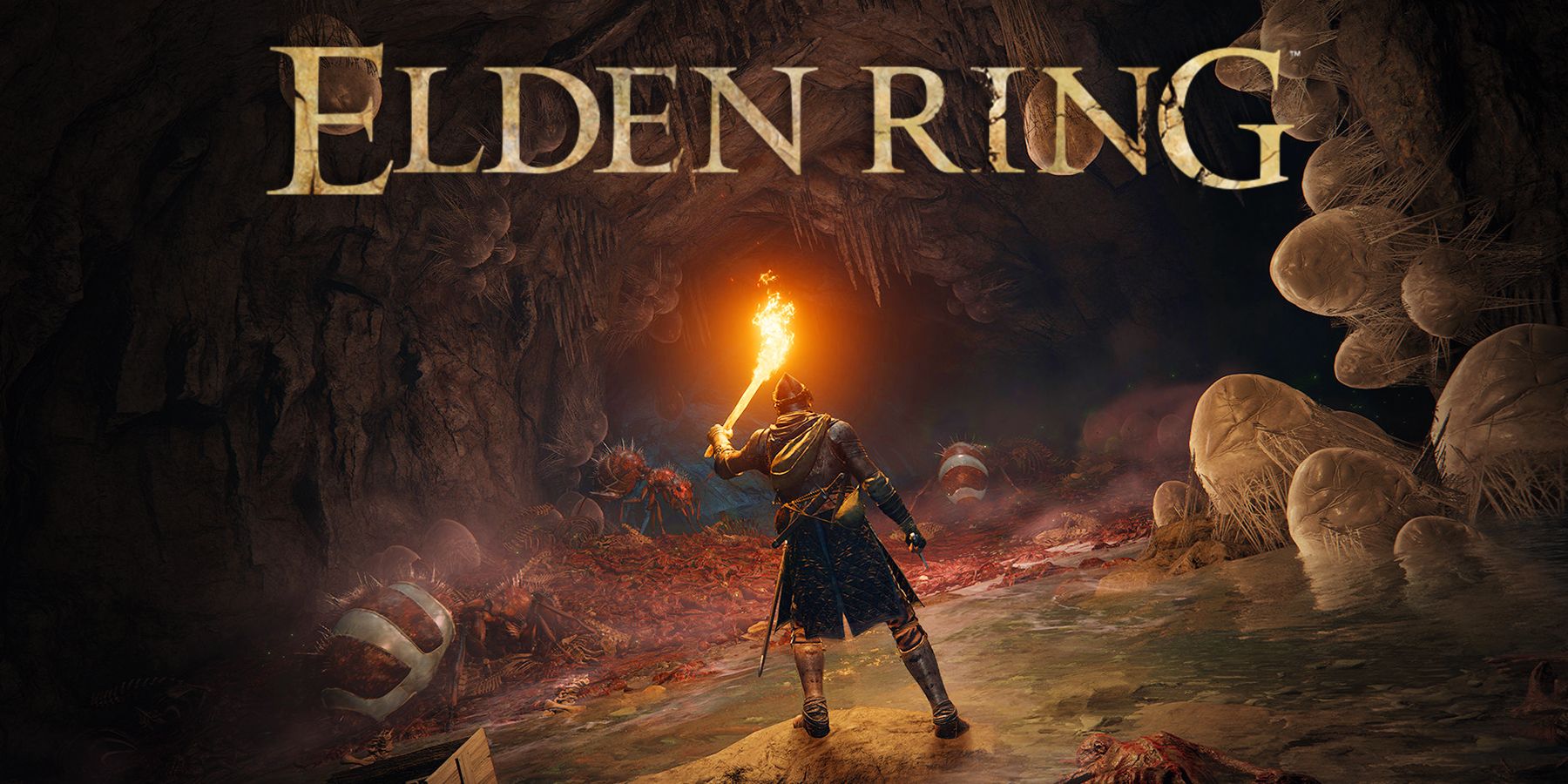 Elden Ring Participant With 250 Hours Discovers Dialogue They Never Heard Sooner than