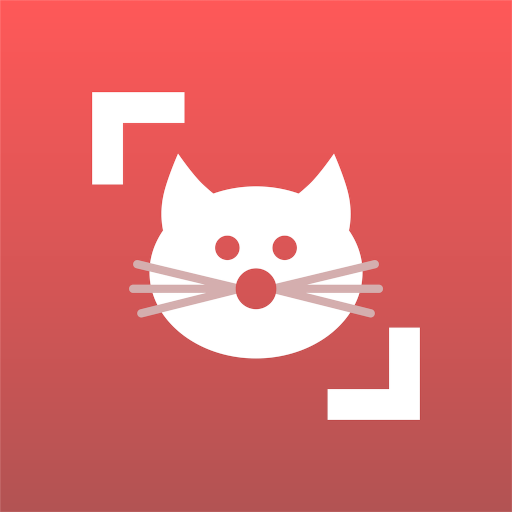 Cat Scanner Breed Recognition.png